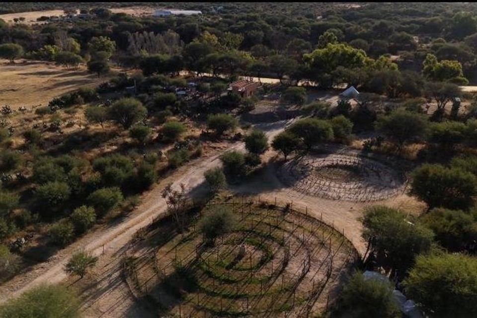 En San Miguel, presentan una experiencia íntima entre vides y amigos conecta el origen del vino con su disfrute.