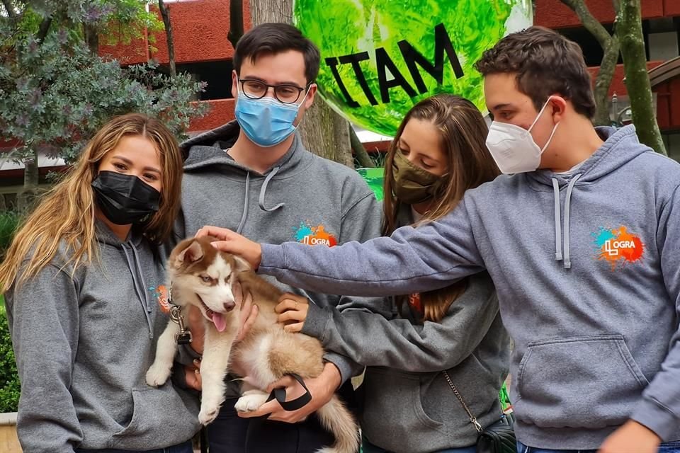 El ITAM presentó a Colmillo, un cachorro que a partir de hoy se integra a su comunidad universitaria.