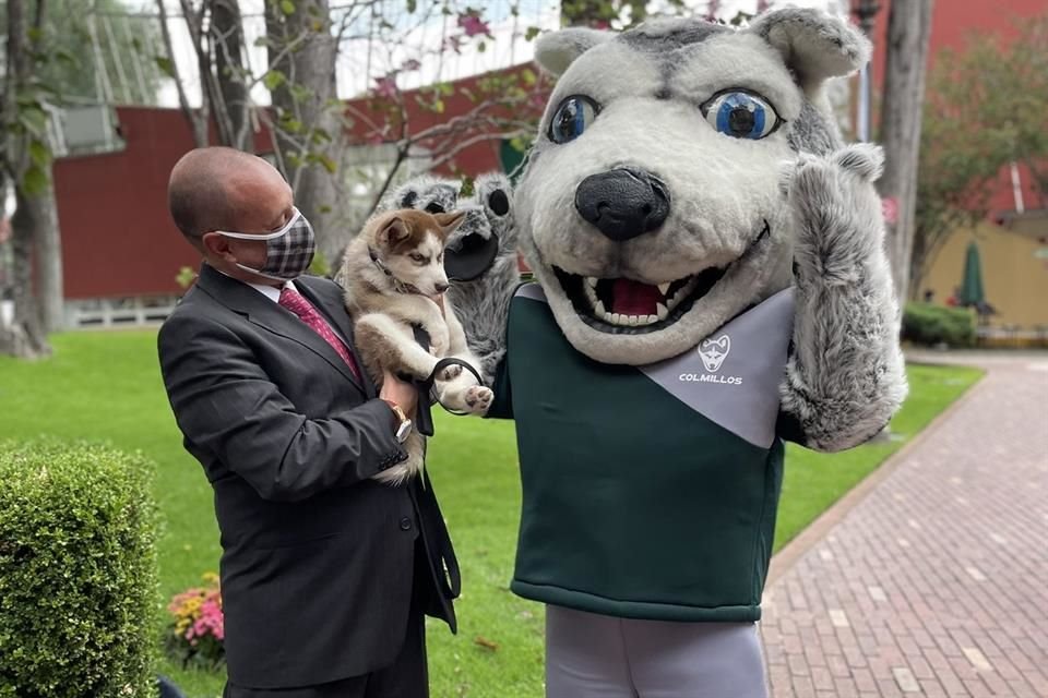 El ITAM presentó a Colmillo, un cachorro que a partir de hoy se integra a su comunidad universitaria.