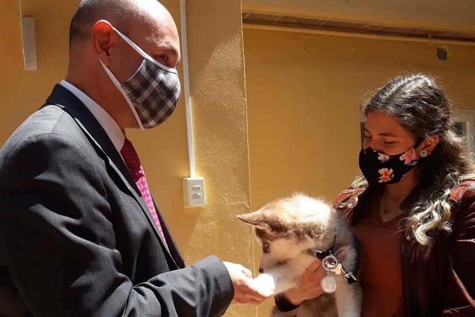 El ITAM presentó a Colmillo, un cachorro que a partir de hoy se integra a su comunidad universitaria.