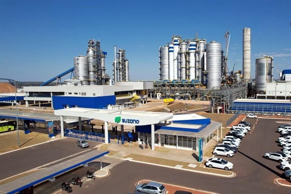 Suzano es el mayor exportador mundial de pulpa, materia prima para productos como el papel higiénico.