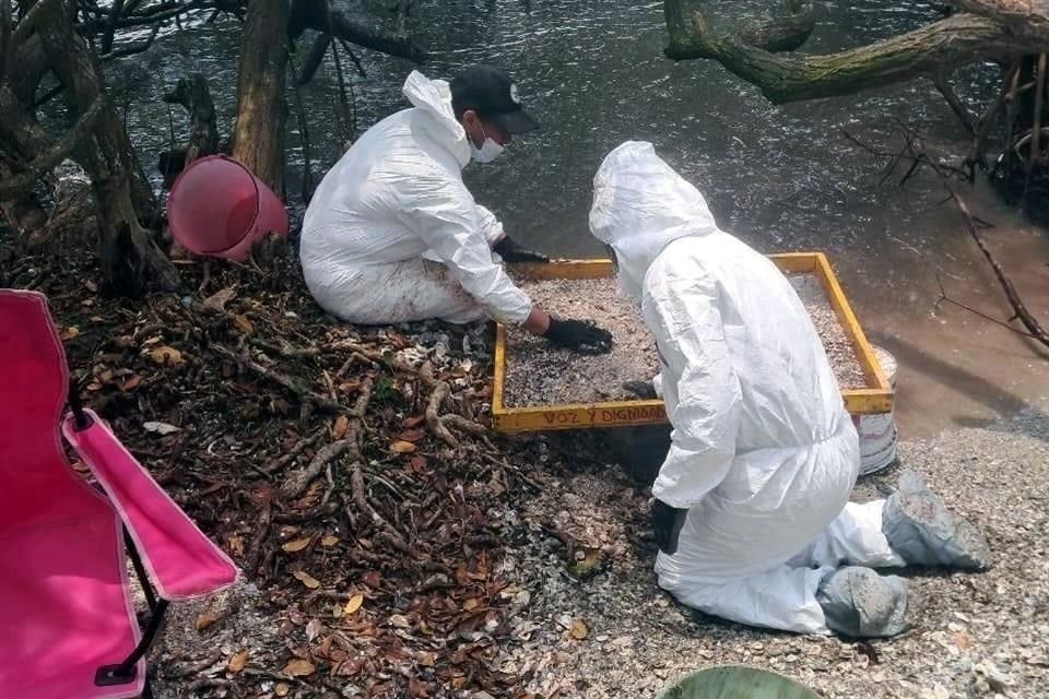 Los colectivos aseguraron que todavía queda mucho por hacer en el proceso de esta búsqueda.