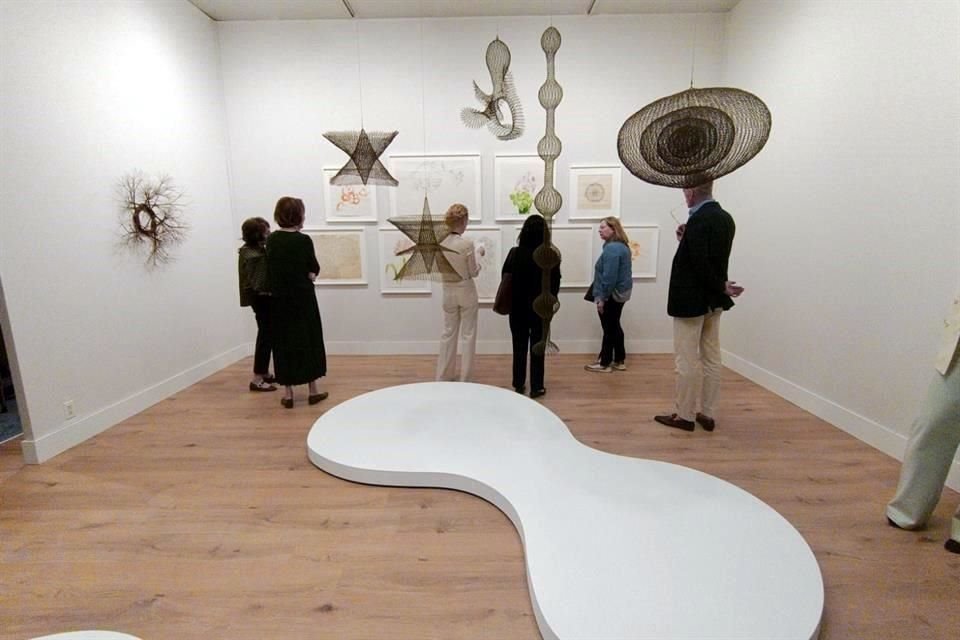 TEFAF stało się obowiązkowym punktem zwiedzania dla kolekcjonerów sztuki; Kolekcję tworzą współczesne dzieła sztuki, design, biżuteria i dzieła klasyczne.