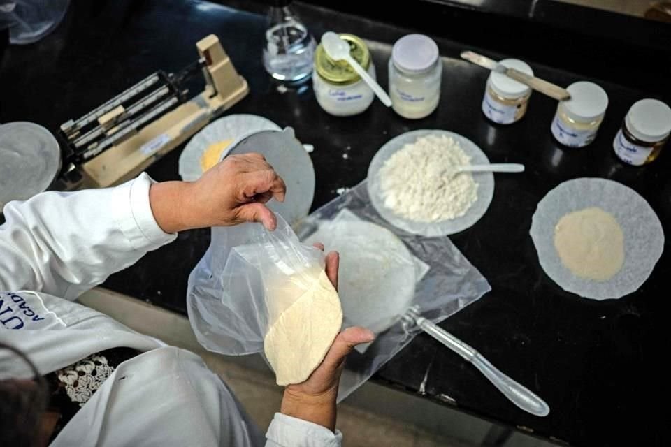 La tortilla de harina desarrollada por Gómez Pliego y su equipo está adicionada con probióticos y dura más tiempo sin refrigeración.