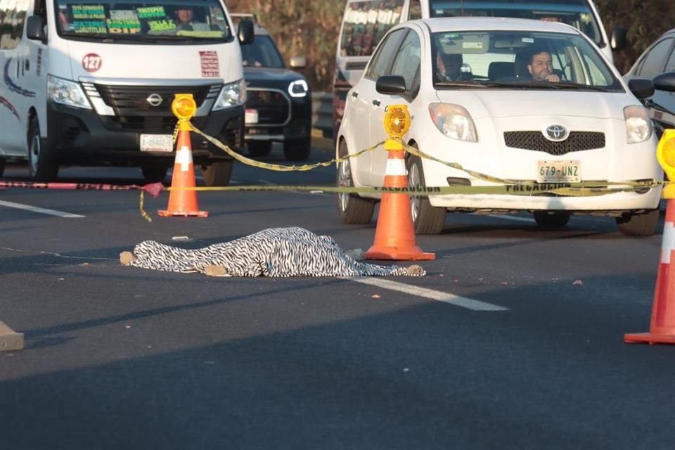Sin embargo, descendió tras una discusión e intentó atravesar la carretera, pero fue embestida por otro vehículo, cuyo chofer se dio a la fuga.