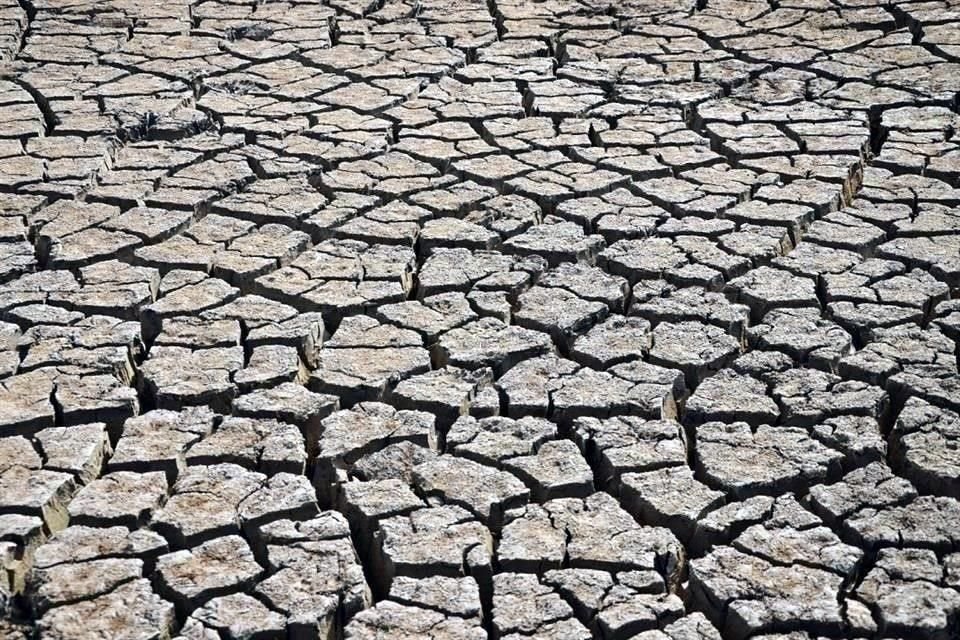 El 49.4 por ciento del territorio nacional registraba sequía al 15 de mayo pasado, de acuerdo con el Servicio Meteorológico Nacional.