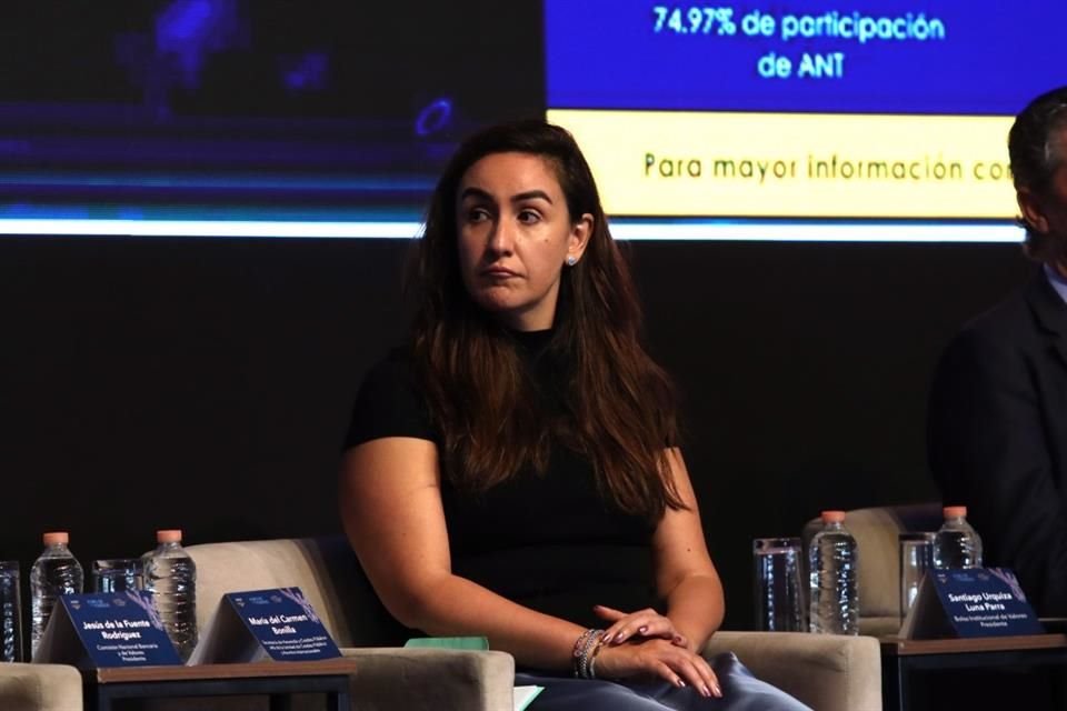 María del Carmen Bonilla, titular de la Unidad de Crédito Público y Asuntos Internacionales de la SHCP.