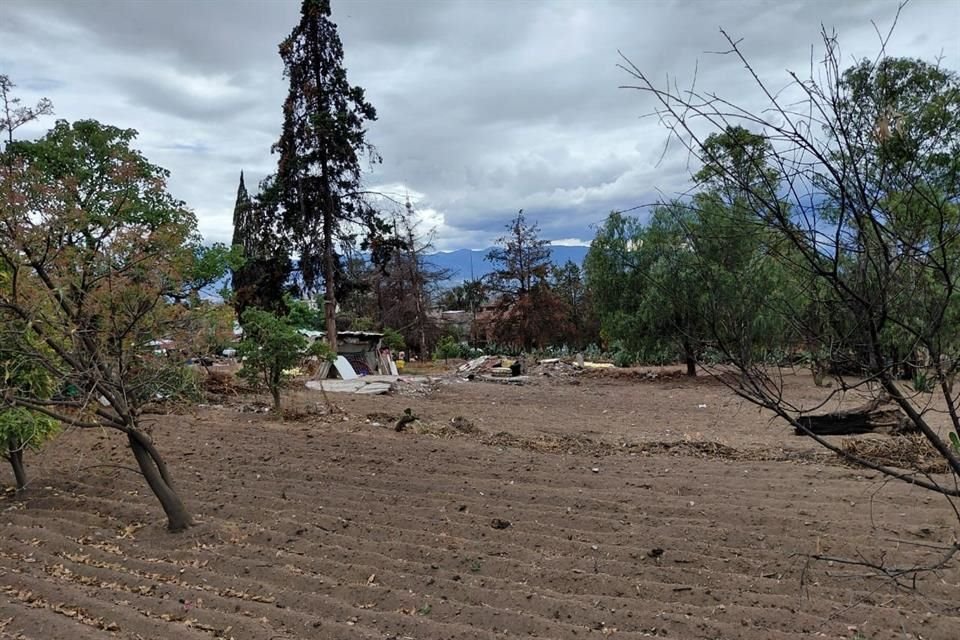 Alavez anunció que los asentamientos que se encuentran alrededor serán legalizados.