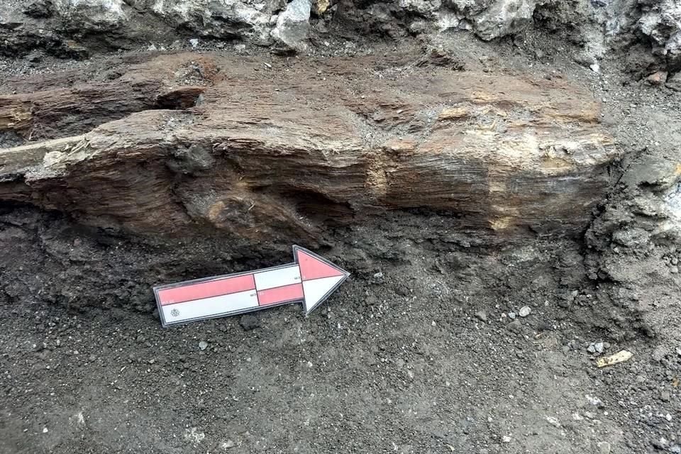 Aspectos de vestigios prehispánicos y coloniales hallados en las inmediaciones del Templo de San Hipólito, en la Colonia Guerrero.