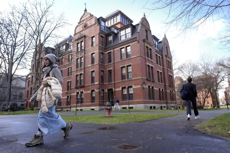 Personas caminan entre los edificios del campus en Harvard, el 17 de diciembre del 2024.