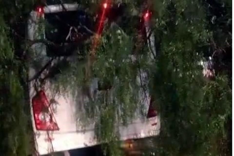 Un árbol cayó sobre un camión en la Calzada Ignacio Zaragoza.