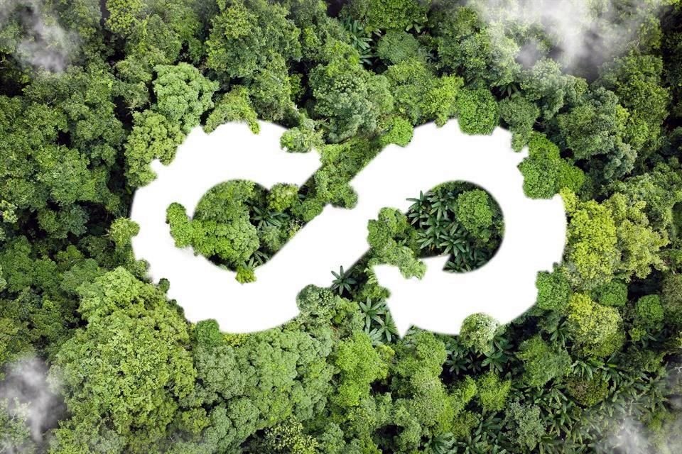 Le Mexique est le premier pays des Amériques en matière de recyclage du PET, le type de plastique utilisé dans les contenants de boissons.