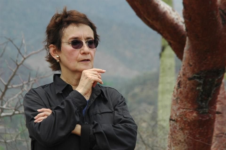 En Historia, Ciencias Sociales y Filosofía, fueron reconocidos la etnohistoriadora Teresa Rojas Rabiela.