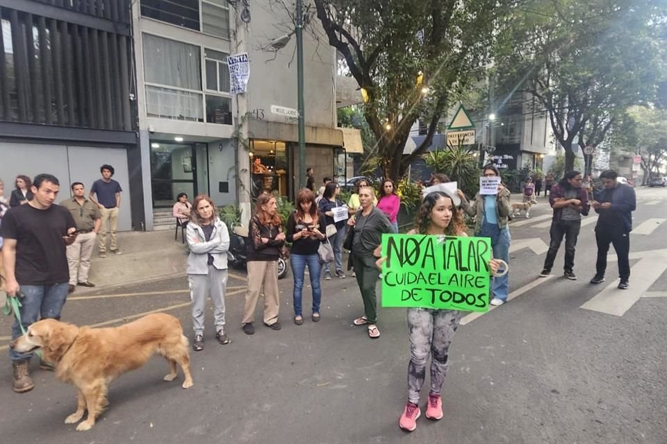 Pese a que la Alcaldía negó que existieran permisos para derribar el árbol, vecinos afirman que la constructora mantiene el plan de talarlos.