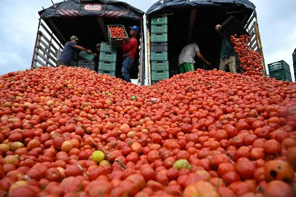 Tomate.
