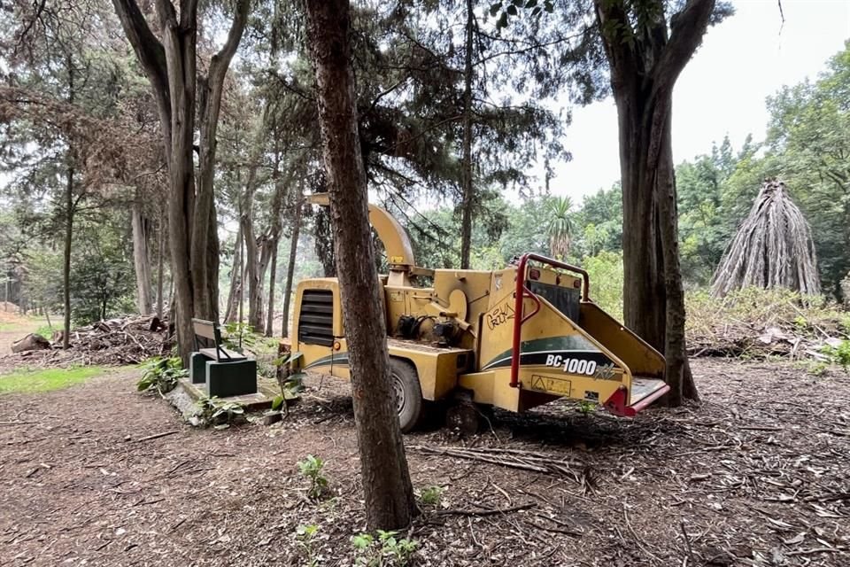 'Trajimos máquinas para triturar todos los residuos que estaban ahí, eran bastantes toneladas, se molieron y lo estamos reutilizando para regenerar el suelo', expresaron.