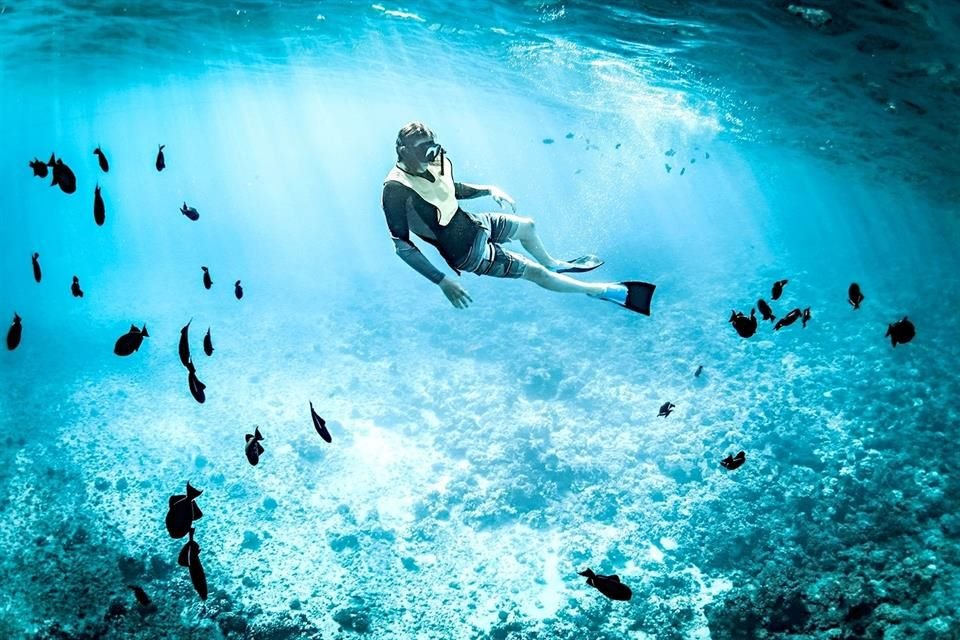 Dive into the depths to observe and recognize the marine wealth held by the seas that bathe the coasts of our country.