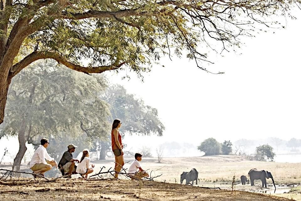 A great option is Wilderness Chikwenya, an exclusive camp located at the confluence of the Sapi and Zambezi rivers, combining tranquility with sublime nature.