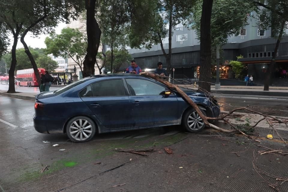El conductor del auto perdió el control al llegar a la altura de Calle Basilio Badillo, en la Colonia Tabacalera.