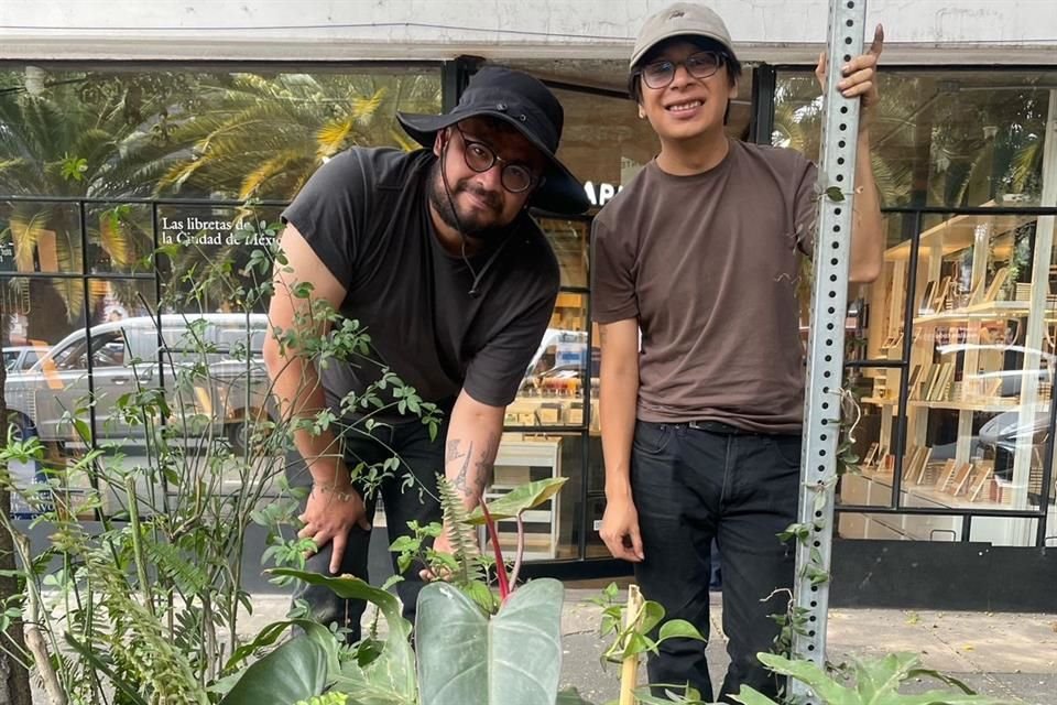 El recorrido fue organizado por Nativas de las Calles, un proyecto que busca el reconocimiento de la vegetación endémica en la Capital.