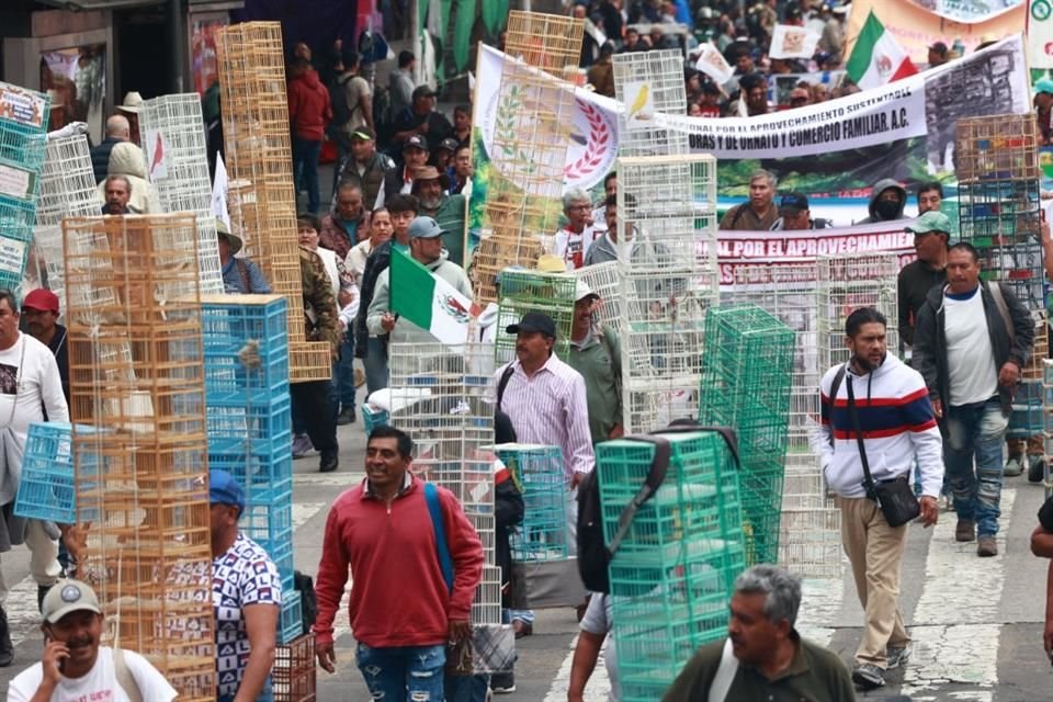 Con banderas, pancartas y hasta disfraces, inconformes marcharon por calles del Centro.
