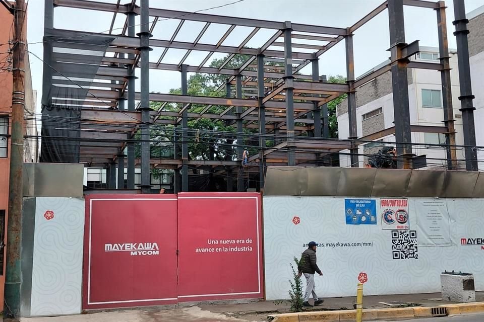 DESAMPARADOS Una jacaranda y un pino se encuentran dentro de una obra en Av. Coyoacán 945.