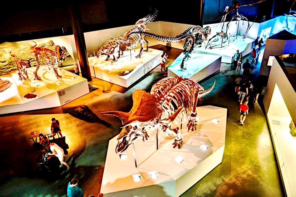Houston lädt Sie ein, Jahrhunderte der Geschichte, Kunst und Wissenschaft in seinen Museen voller Wunder und einzigartiger Erlebnisse zu erkunden.