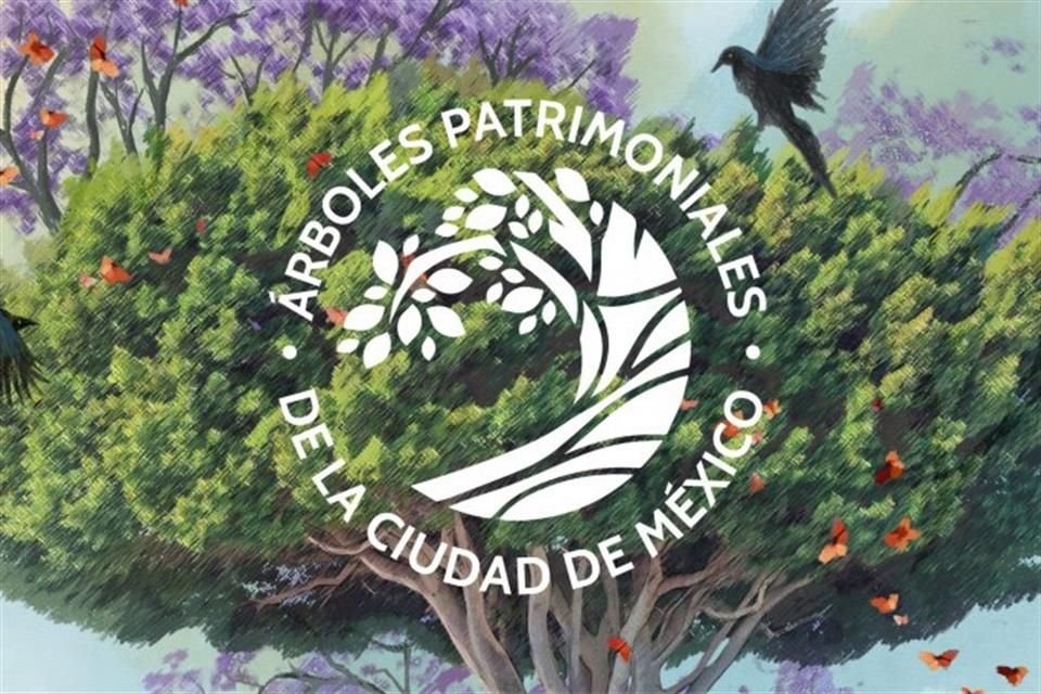 La CDMX llamó a nominar árboles para que sean nombrados parte del patrimonio de la Ciudad.