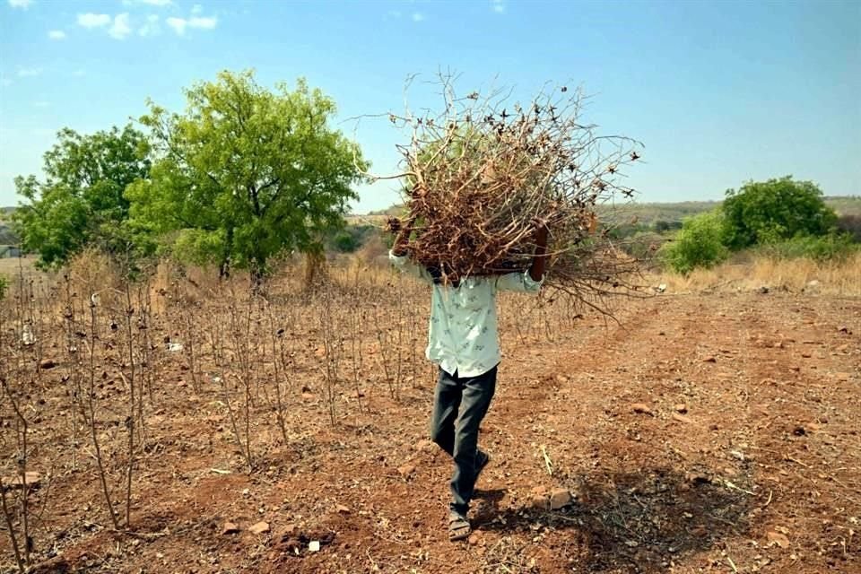 Donald Trump propuso regularizar la situación migratoria de algunos de los más de un millón de trabajadores agrícolas indocumentados.