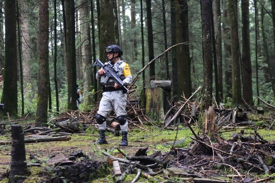 En el Cerro de las Palomas y otros puntos rojos, la vigilancia se reforzó tras reportes de extracción clandestina de madera.