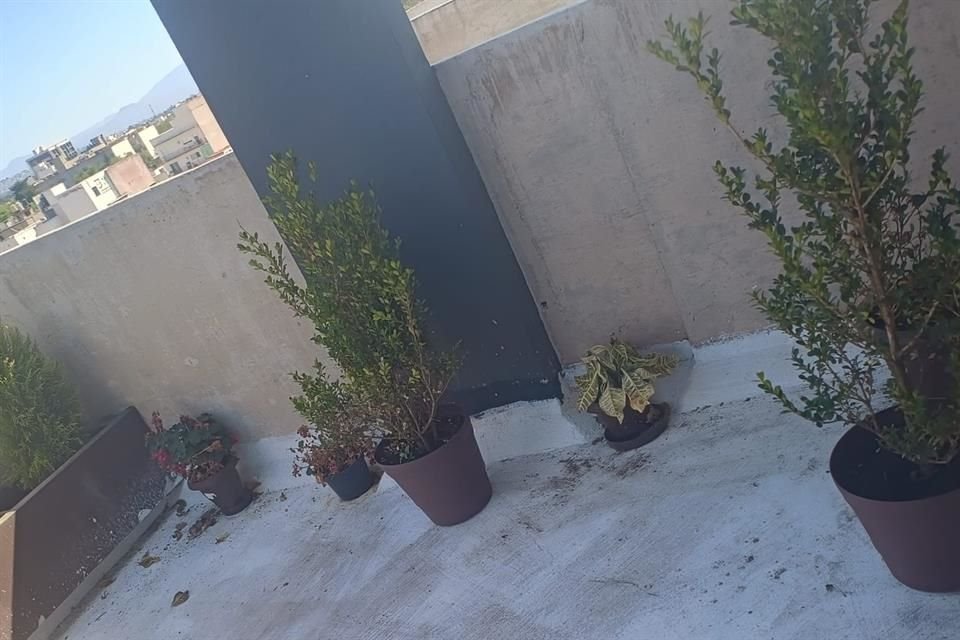 En diciembre, la invasora quita las jardineras del roof garden e intenta desmontar el jacuzzi del edificio argumentando que su vida corría peligro.