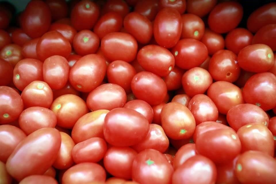 De acuerdo con la AMHPAC, el arancel de 17 por ciento al tomate mexicano tendría un impacto inicial de 50 mil empleos perdidos.