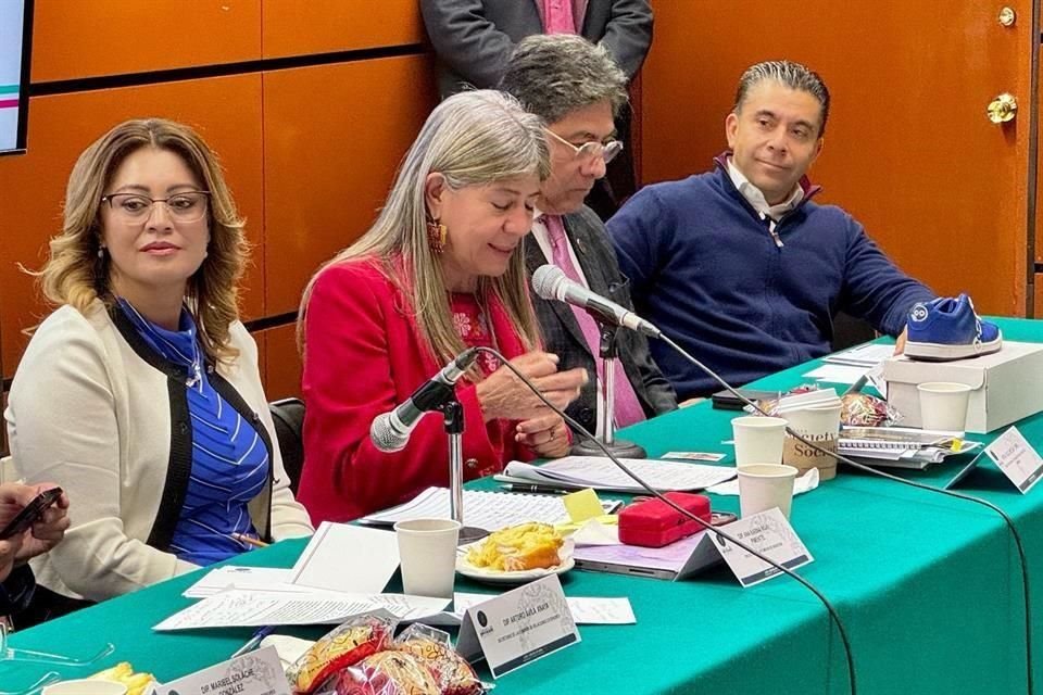 En reunión de trabajo con la Comisión de Bienestar, Rocío Mejía, titular de Finabien, informó que la meta de créditos para este 2025 es de 36 mil 803, por un total de mil 82 millones de pesos.