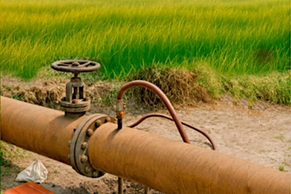 El año pasado, el robo de petróleo crudo llegó a 6% con respecto a la producción total del País, la mayor tasa en los últimos 15 años.