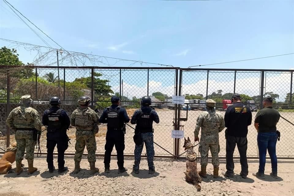 En la zona fronteriza de Chiapas, la Secretaría de Marina (Semar) desarticuló una red de huachicol, donde elementos aseguraron 12 mil litros de un líquido con características similares al diésel.