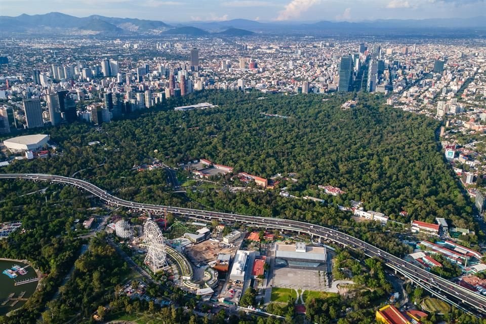 Tras el ataque, el agresor huyó y la agente del Ministerio Público en la Coordinación Territorial Miguel Hidalgo- 4 se negó a abrir una investigación.