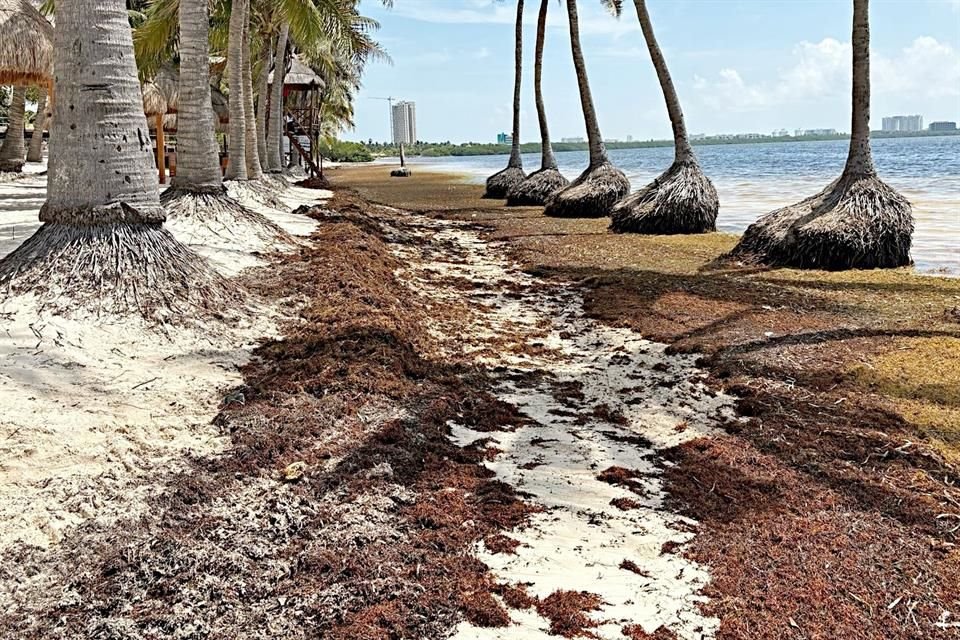 El principal destino turístico del estado ha visto disminuir el número de turistas.
