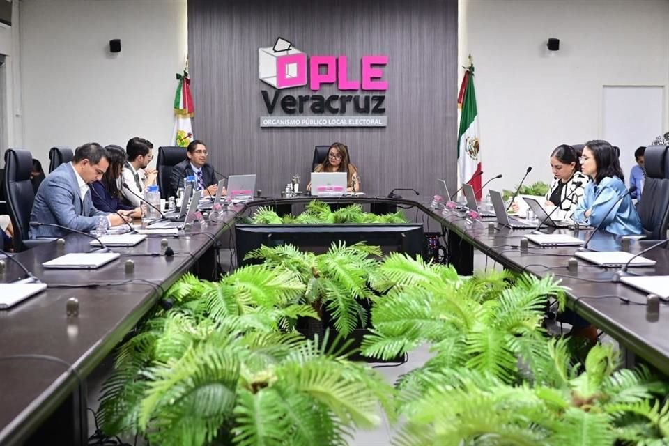 Con el argumento de que son caros para la democracia, la Presidenta ha cuestionado si deben continuar los órganos electorales estatales.