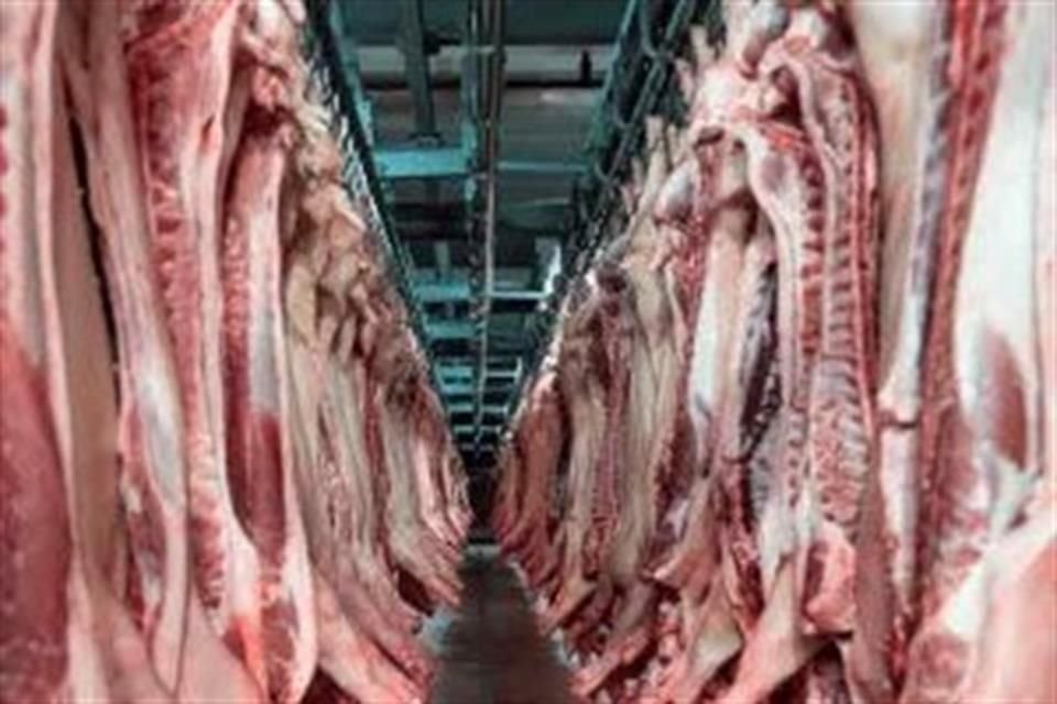 Alimentos Grole, ubicada en Ciudad Obregón, Sonora, negó a sus trabajadores el derecho a la libertad de asociación y a la negociación colectiva.