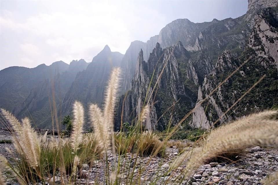 Die Huasteca de Santa Catarina liegt im Nationalpark Cumbres de Monterrey, einem einzigartigen Ökosystem, das Experten zum Schutz auffordern.