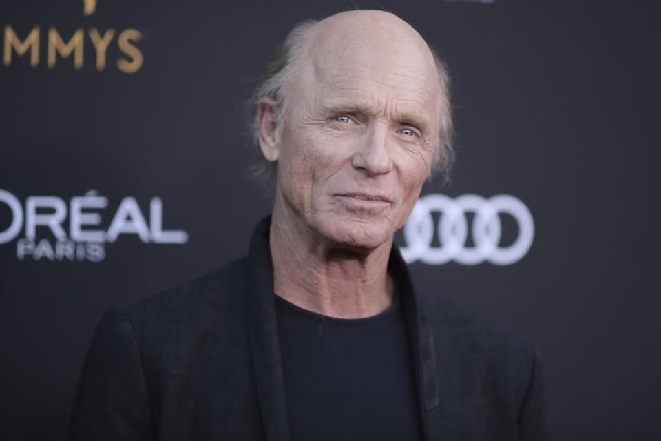 Ed Harris cuenta con un historial de películas y series memorable, como 'Apolo 13' (1995), 'El Abismo' (1989), 'Glengarry Glen Ross' (1992), 'La Roca' (1996) y 'Westworld' (2016-2022).