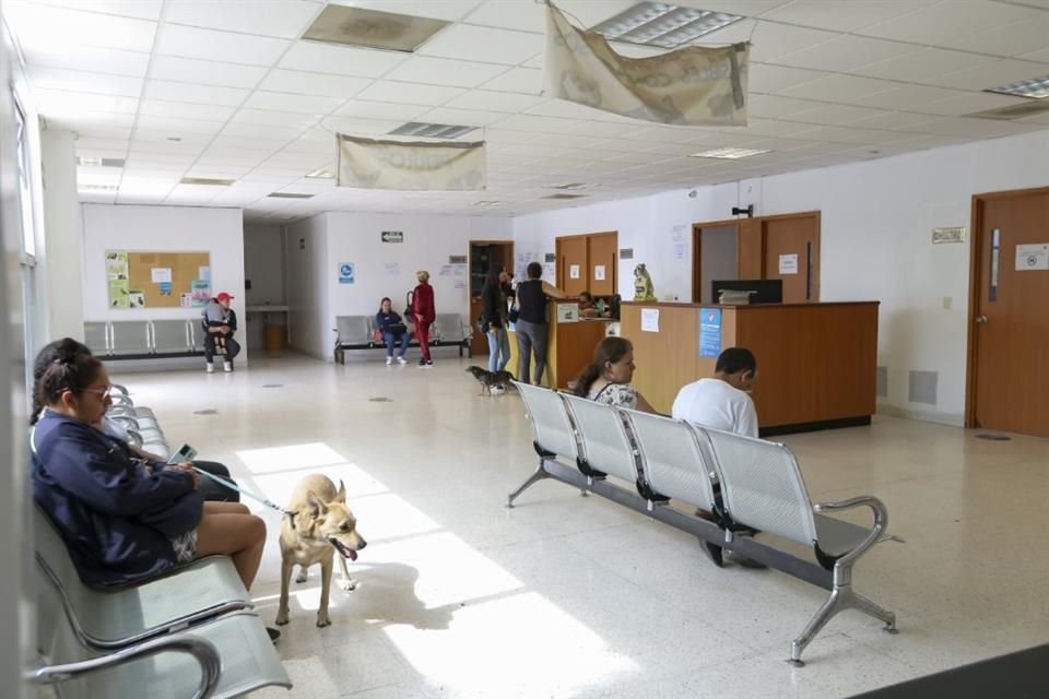 Kedi ve köpek gibi küçük hayvanlara yönelik aşılama kampanyalarının etkili olduğu ancak çabaların iki katına çıkarılması gerektiği düşünülüyor.
