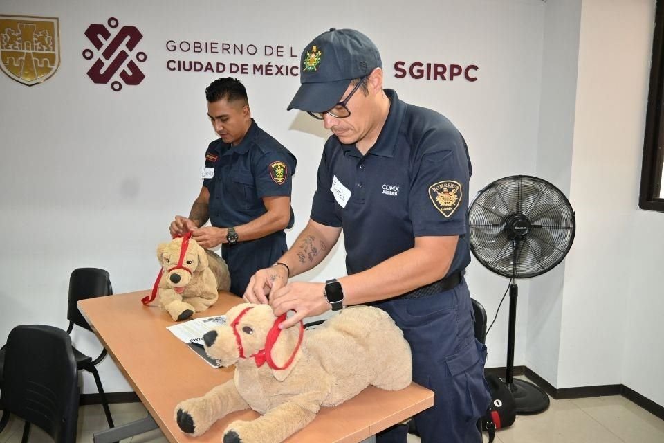 Il workshop pubblico di primo soccorso per gli animali in caso di calamità si terrà il 18 settembre presso il Monumento alla Rivoluzione.