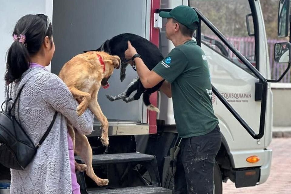 Secondo Felipe Márquez Muñoz, gli animali dovrebbero essere presi in considerazione nei piani di preparazione alle emergenze.
