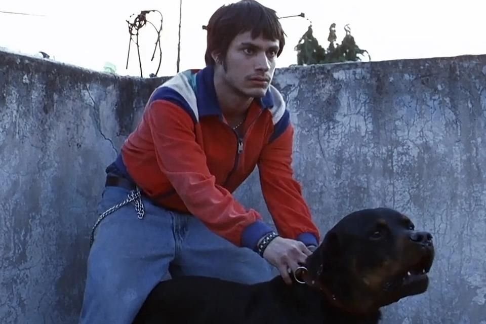 Reestrenará Mubi la película 'Amores Perros', en su versión remasterizada, este 9 de octubre en cines, por su 25 aniversario.