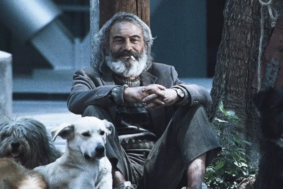 Un retrato visceral y multinarrativo del amor, la pérdida y la supervivencia en la Ciudad de México, la película obtuvo una nominación al Óscar a la Mejor Película de Habla No Inglesa.