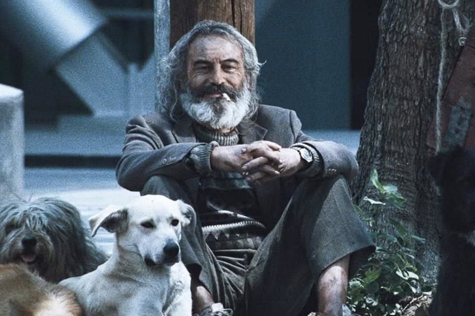 Amores Perros' celebra 25 años con función en Bellas Artes