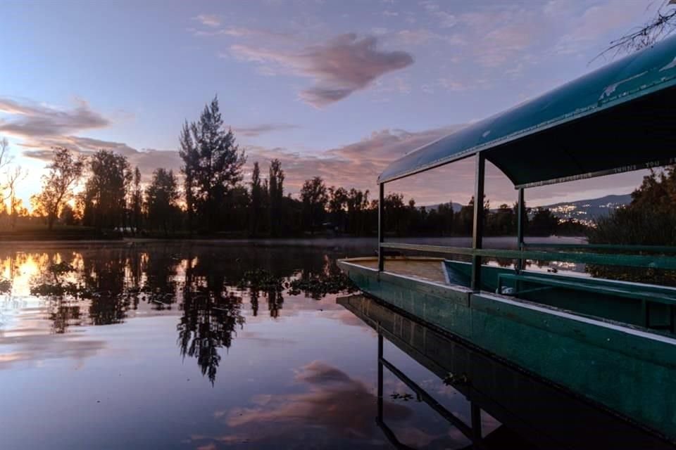 El mentalista Iván Maraña estrena su show 'Raíces', incluye paseo en trajinera, desayuno a cuatro tiempos y música de Alejandra Paniagua.