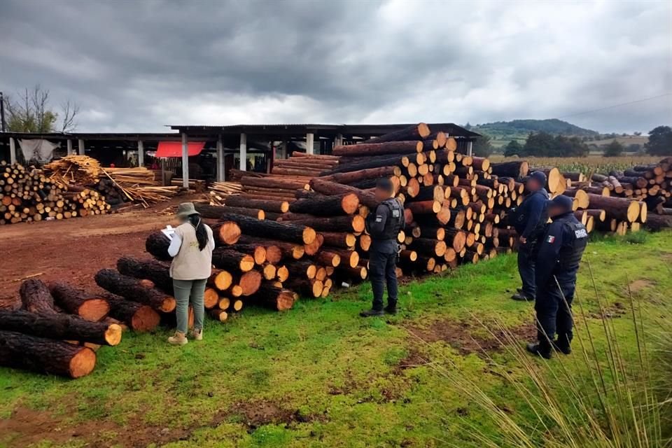 Legisladora panista advirtió que si realmente se quiere proteger el medio ambiente, no basta con reformar el Código Penal, sino que son necesarios recursos humanos, técnicos y financieros.