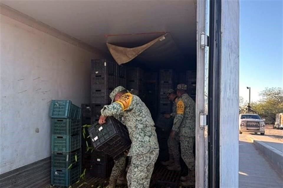 Hallan entre chiles... una tonelada de droga